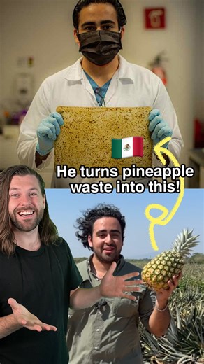 Sam | Sustainable Living on Instagram: "This guy in Mexico found a way to turn pineapple waste into a cotton-like fibre that can be used to create paper, textiles, insulation and more! This is Adolfo, and after hearing about how much pineapple goes to waste in Latin America, he came up with an idea! He created Celunova, a material that swaps tree-based cellulose, the plant fibre used to make things like paper and packaging, with fibres made from pineapple waste instead. It helps put fruit waste 