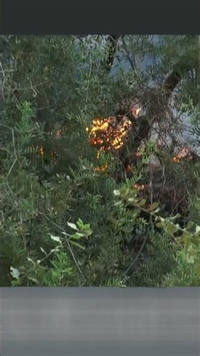 Σύλληψη ενός άνδρα για τη φωτιά στα Σελιανίτικα Αχαΐας