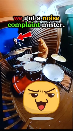 CAT&DOG Relationship hilarious moments #shorts #viralshorts #funny #funnypets