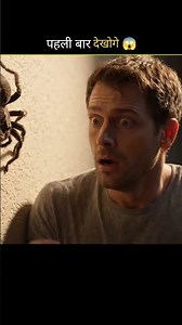 🕷️ मकड़ियों से डर लगता है? इसका नाम जानकर हैरान रह जाओगे! 😱