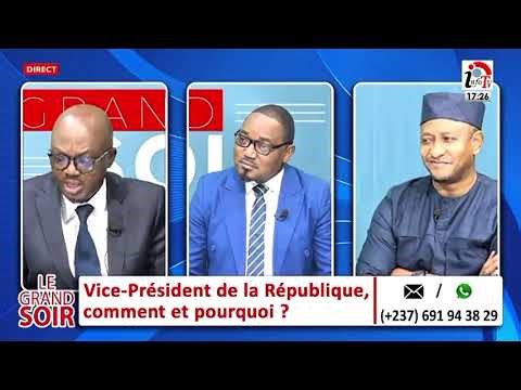 VICE-PRESIDENT DE LA RÉPUBLIQUE, COMMENT ET POURQUOI ?