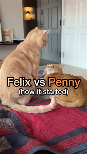 Presenting Exhibit C to the Jury: Key Insights