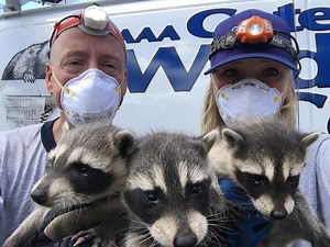 1.4K views · 132 reactions | Hello Gates. Goodbye Wildlife. First...