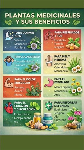 Remedios naturales que tienes en casa