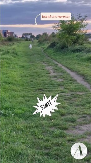LAAT MAAR, ik doe mijn hond nooit meer los!