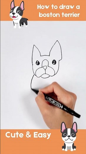 How to Draw a Boston Terrier Step by Step! 🐾 #BostonTerrier #EasyDrawing #HowToDraw