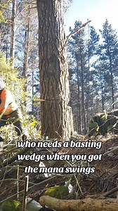 Feels so good to be back in action 💪🏾🌲 2k25 | J DUBB