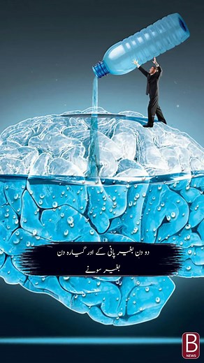 17K views · 444 reactions | Human Brain Facts #bestvideo #reelsvideoシ | B News | Facebook