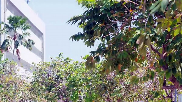 My-Engineer-Ep-02-Eng-Sub