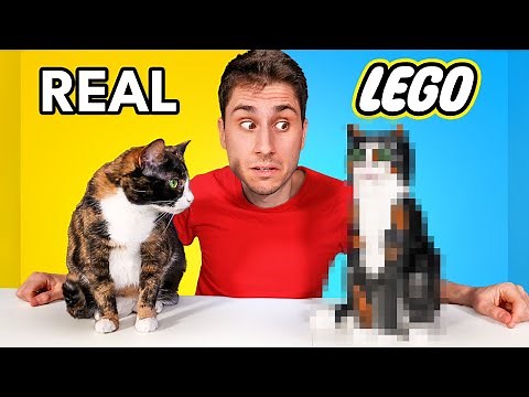 I Built My Cat out of Legos!