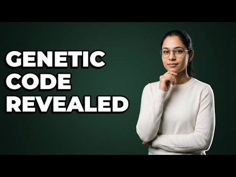 How Do Nitrogenous Bases Encode Genetic Information?
