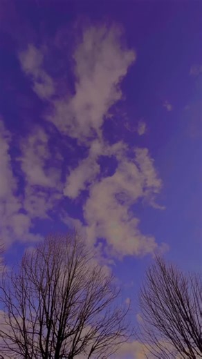 Maria Rose on Instagram: "A story of Geppetto ( a sky 🌌 toy 🧸 maker) and a story of two Pinocchios :one many of you know as the Adventures of Pinocchio by Carlo Collodi and this February it will be 143 years since its release, but there is another character who is also based on Pinocchio and his name is Buratino from a book 📕 by A. Tolstoy called The Adventures of Buratino . Each book gave the rise to movies 🎦 and I spotted old, patient Geppetto, carving a wooden bird 🐦 toy for his beloved