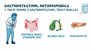 Video: Antispasmodics (GI): Nursing pharmacology - Video Explanation! | Osmosis | Osmosis
