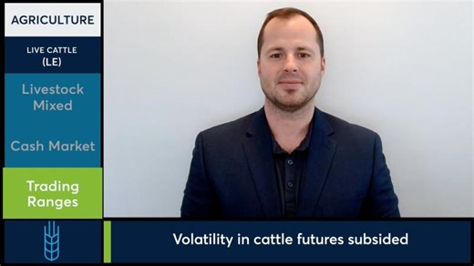 Cattle futures saw pressure despite weekly gains in livestock markets. 2/20/26 | Blue Line Futures