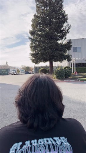 HΞΔT WΔVΞ VISUΔL | Zac has been bullied so much throughout his life that he’s found the perfect way to take care of them | Instagram