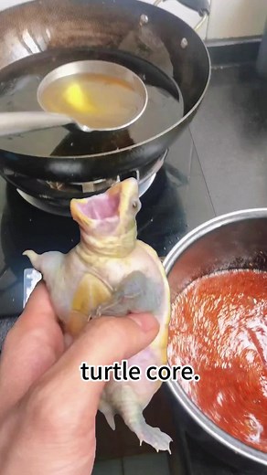 Cute and Funny Turtle Moments 🐢