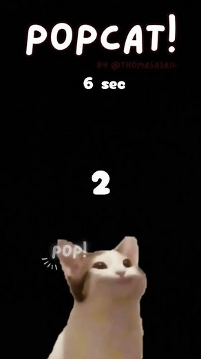 pop cat 🐱