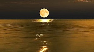 Moon, Sea, Ocean. Free Stock Video