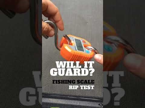 MeshGuard: Will it Guard?