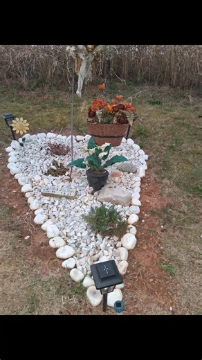 Fall clean up...miss yall so much! | Ecoscapes Landscape Design