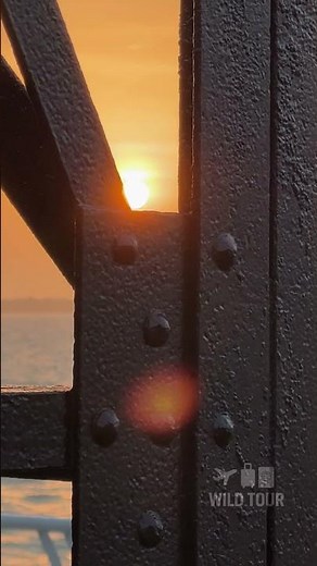 BELÉM DO PARÁ READY to SHAPE the Future of the Amazon