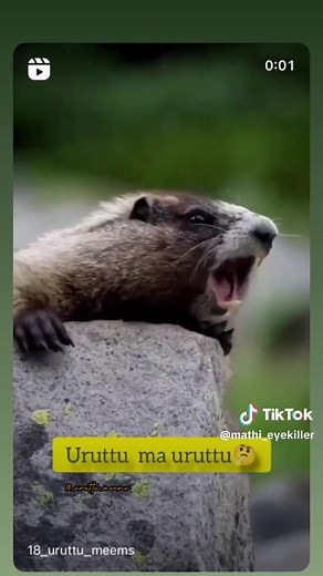 @Miniekrish 😆#mathi_eyekiller #sarvamtym #mathi_81 #sarvamtymofficall #AACHIMEALS #ennampolvazhkaiennampolthaanvazhkai