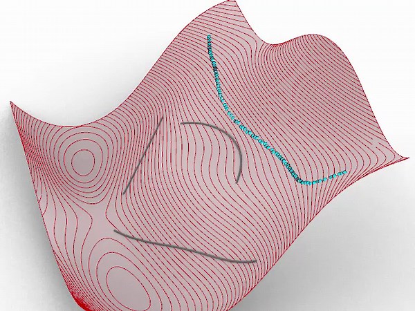 Fluid simulation kangaroo