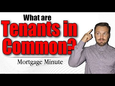 Tenants In Common | How Does It Work & When Should You Use It?
