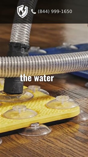 Washer Drain Overflowing? Stop the Water Before It Spreads