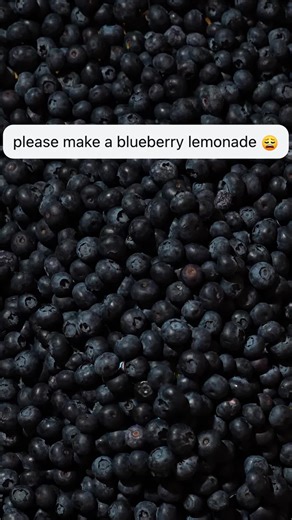 Blueberry Lemonade Now Available in Stores!