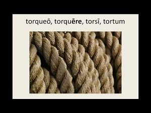 Latin for Beginners Lesson 4: Second Conjugation Verbs in the Present Tense