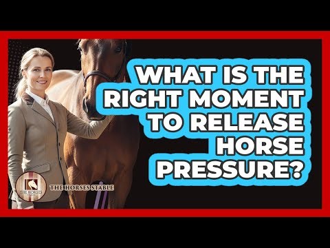 What Is The Right Moment To Release Horse Pressure?