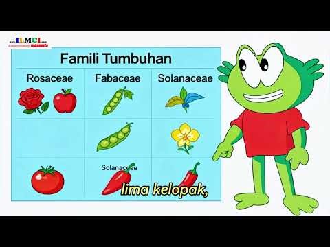 INTEGRATED SCIENCE CLASS 7 Classification of Living Things Grouping of Plants