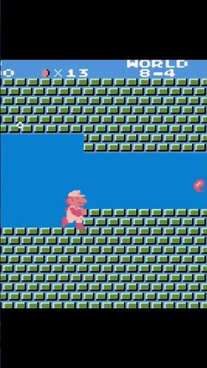 Discover MARIO BROS' Hidden Secrets in World 8-4!