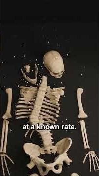 Carbon Dating the Car Park King