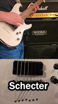 EMG vs Schecter Pickups