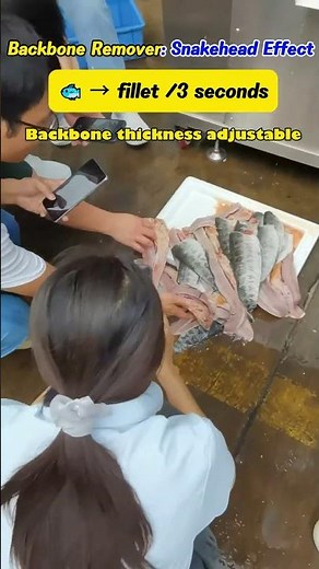 Fish fillet machine for snakehead
