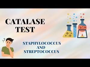 How to Perform Catalase Test | Staphylococcus vs Streptococcus (Microbiology Practical)