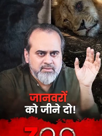 Why Zoos are Harmful for Animals