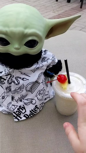 Raising BabyYoda on TikTok
