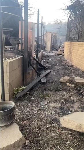 California Wildfire Rescue: Shepherding Safe Sheep