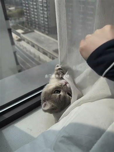 Discover Solo Living: My Daily Vlog Vlog SoloLife AloneDiary