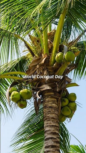 World Coconut Day