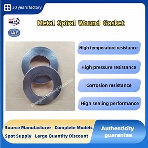 [Hot Item] RF Flange Seal Gasket R Type SS304   Graphite Metal Spiral Wound Gasket