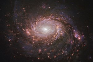 Stunning Nasa photo reveals 'gorgeous island galaxy' that measures 100,000 light years across