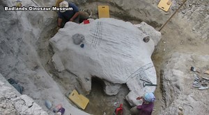 Dinosaur from Montana has new home in Dickinson museum