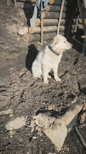 Wait for the end to see me fall in. Part 1 #fishing #willsurvives #survival #bushcraft | The Tips & Trick