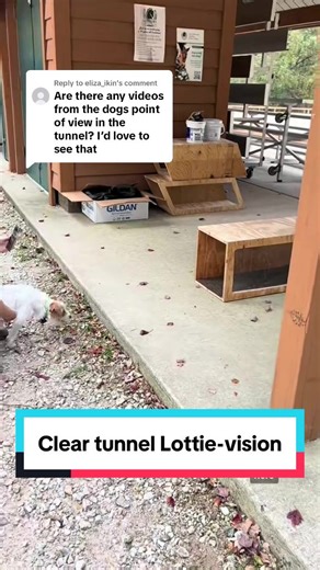 Aligning Lottie-View and Camera View Techniques