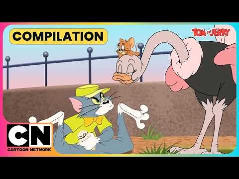 Jerry's Zoo Adventure!🦍| Tom and Jerry😺🐭| Cat & Mouse Cartoon😁| ‪@cnindia‬ ​