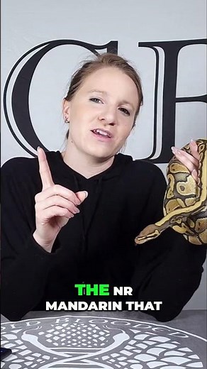 NR Mandarin Normal vs Super NR Mandarin Comparison!